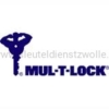 MUL-T-LOCK E-serie Padlock met hoge veiligheidsklasse - Afbeelding 5