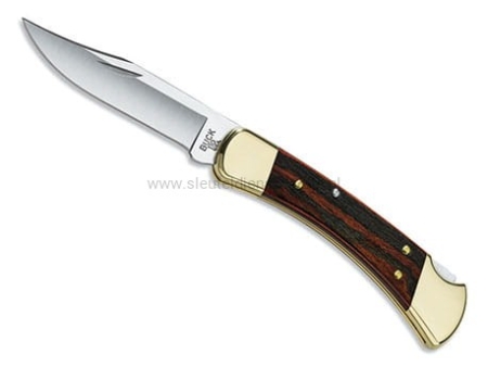 Buck 110 Folding Hunter