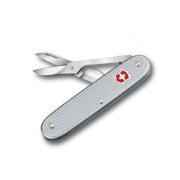 campanion x Alox zilver